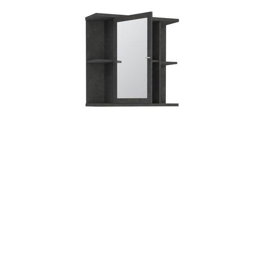 Pakabinama vonios spintelė su veidrodžiu Champ (pilka)